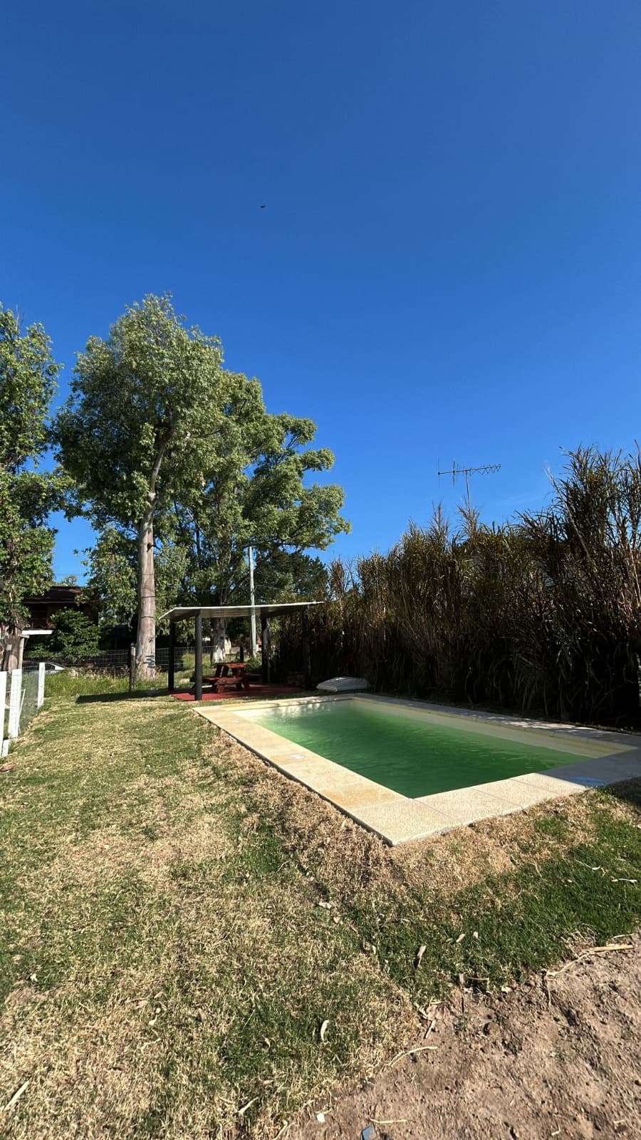 Parque y jardín del complejo
